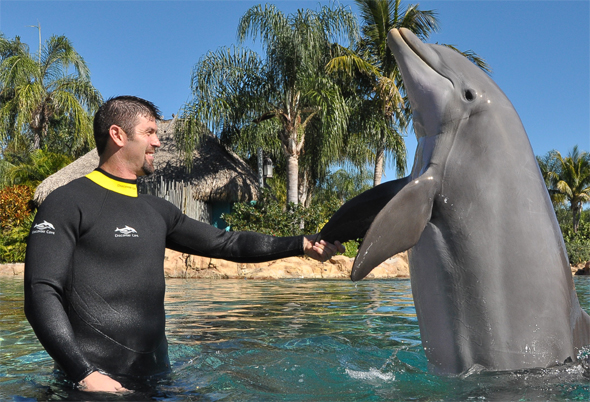Discovery Cove played host today to the Red Sox No. 1 catcher and team captain, Jason Varitek. Varitek spent the day swimming with Atlantic bottlenose dolphins, snorkeling with rays, hand-feeding exotic birds and relaxing on pristine beaches at the all-inclusive park. For more information on SeaWorld and Discovery Cove, visit WorldsofDiscovery.com.
