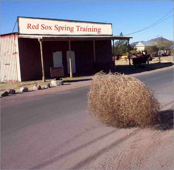 BDD -- Red Sox spring training
