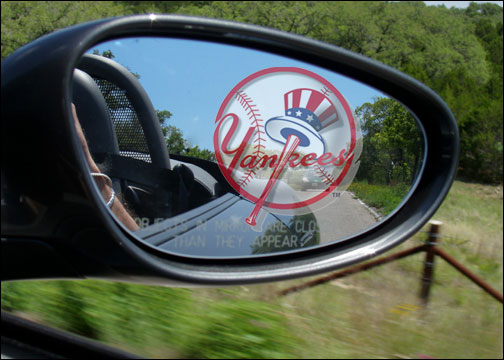 Boston Dirt Dogs rear view mirror