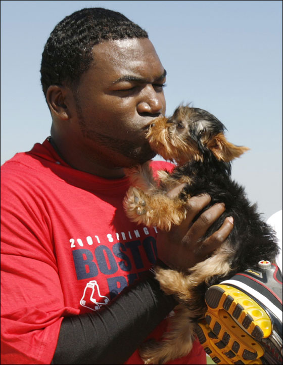 David Ortiz kisses his dog 'Mikey' following conditioning drills at the team's spring training facility in Fort Myers, Florida February 21, 2007.