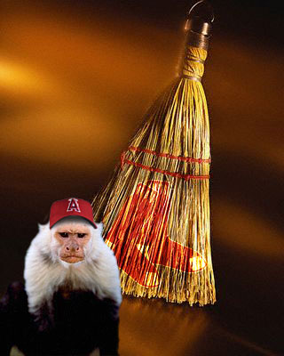 Sweep the Monkey tonight